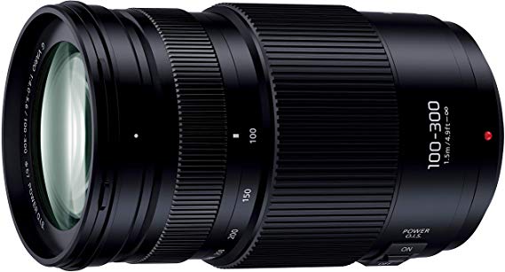 파나소닉 초망원 줌 렌즈 마이크로 포서 즈용 루믹스 G VARIO 100-300mm / F4.0-5.6 II / POWER O.I.S. H-FSA100300