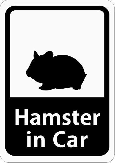 Hamster in Car 