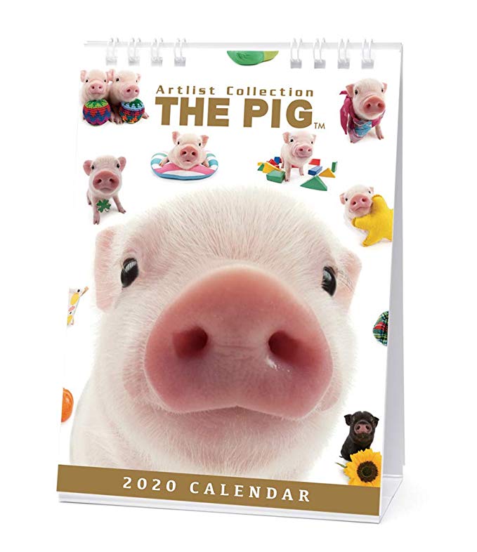 달력 2020 탁상 THE PIG 403376 2020 년 1 월 - 2020 년 12 월 아 목록 돼지 돼지 피그