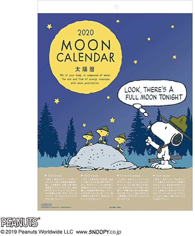 아트 프린트 재팬 2020 년 MOON 달력 / PEANUTS (스누피) vol.209 1000109417