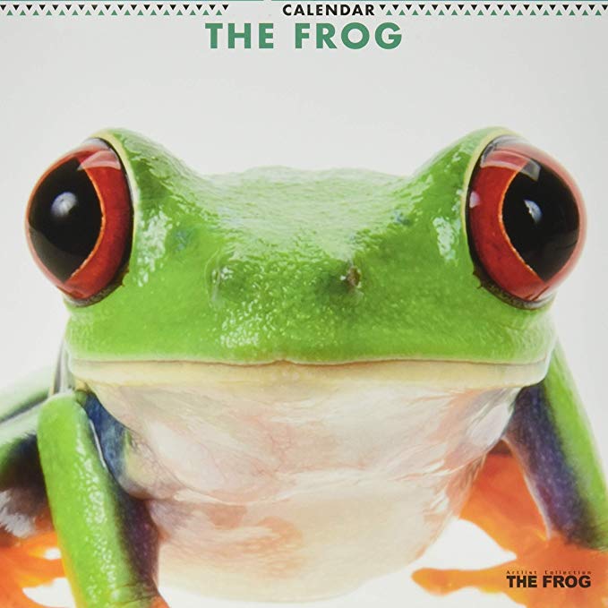 THE FROG 2019 년 달력 벽걸이 CL-1149