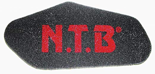 NTB (엔 티 비) SA-1005 에어 필터 [HTRC3]
