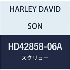 할리 데이비슨 (HARLEY DAVIDSON) SCREW KIT, COVER / MASTER CYL HD42858-06A