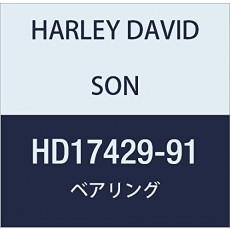 할리 데이비슨 (HARLEY DAVIDSON) BEARING, ROCKER ARM HD17429-91