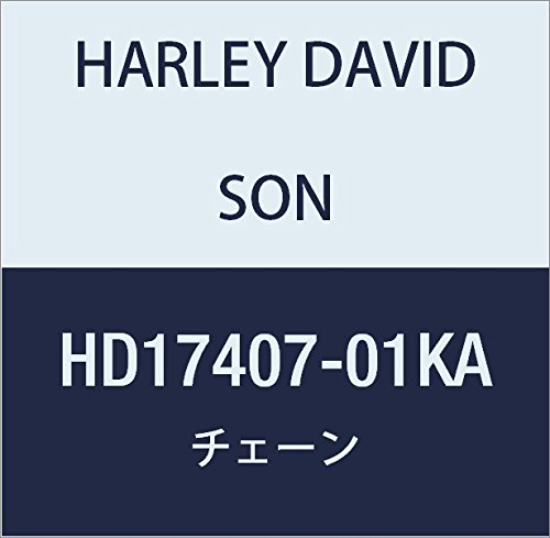 할리 데이비슨 (HARLEY DAVIDSON) CHAIN, SECONDARY CAM DRIVE HD17407-01KA