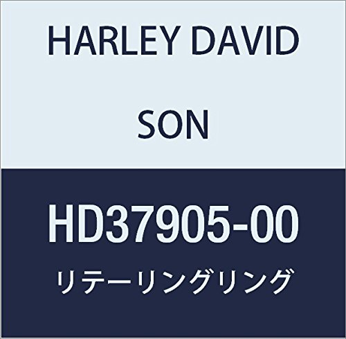 할리 데이비슨 (HARLEY DAVIDSON) RETAINING RING HD37905-00