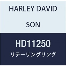 할리 데이비슨 (HARLEY DAVIDSON) RETAINING RING, RAMP HD11250