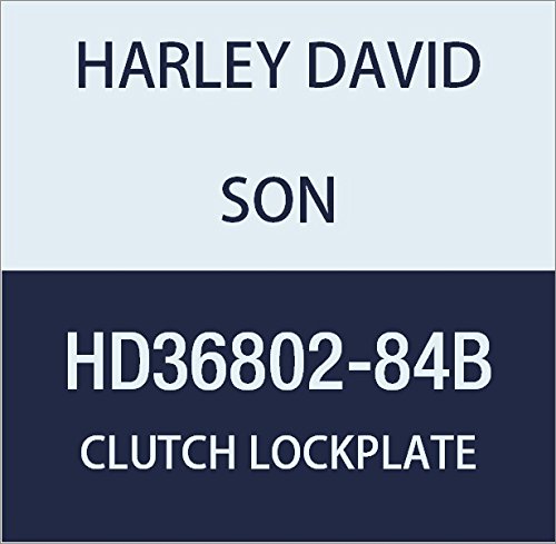 할리 데이비슨 (HARLEY DAVIDSON) CLUTCH LOCKPLATE HD36802-84B