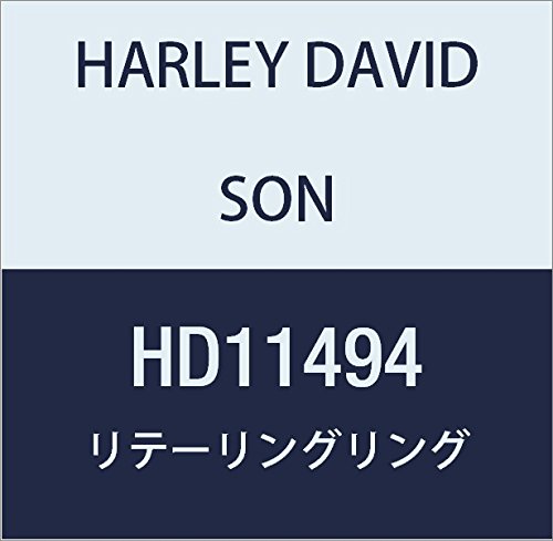할리 데이비슨 (HARLEY DAVIDSON) RETAINING RING HD11494