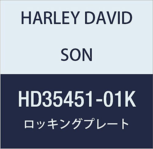 할리 데이비슨 (HARLEY DAVIDSON) LOCKING PLATE HD35451-01K