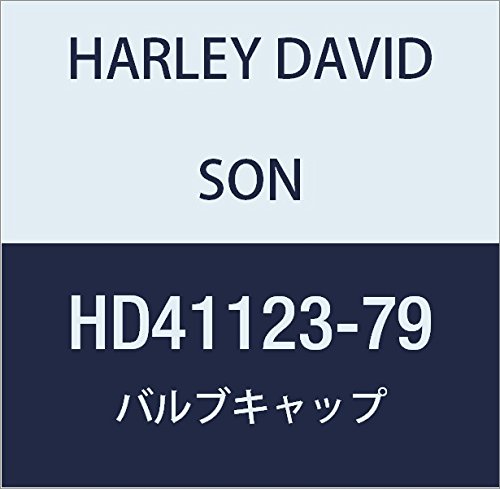 할리 데이비슨 (HARLEY DAVIDSON) VALVE CAP HD41123-79