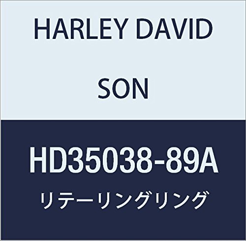 할리 데이비슨 (HARLEY DAVIDSON) RETAINING RING HD35038-89A