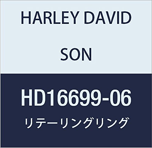 할리 데이비슨 (HARLEY DAVIDSON) RETAINING RING HD16699-06