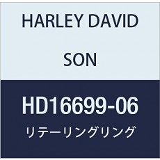 할리 데이비슨 (HARLEY DAVIDSON) RETAINING RING HD16699-06