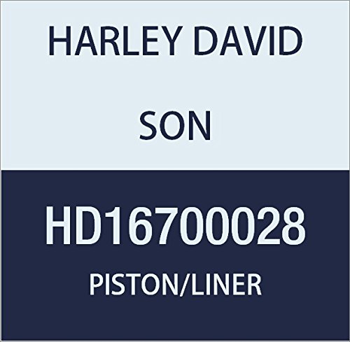 할리 데이비슨 (HARLEY DAVIDSON) KIT-PISTON / LINER, 69MM BORE HD16700028