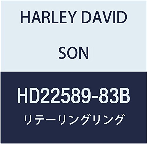 할리 데이비슨 (HARLEY DAVIDSON) RETAINING RING HD22589-83B