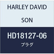 할리 데이비슨 (HARLEY DAVIDSON) PLUG, INTAKE MANIFOLD HD18127-06