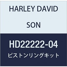 할리 데이비슨 (HARLEY DAVIDSON) PISTON & RING KIT, STD, 1200C HD22222-04