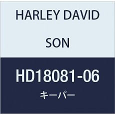 할리 데이비슨 (HARLEY DAVIDSON) KEEPER, VALVE SPRING HD18081-06