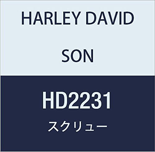 할리 데이비슨 (HARLEY DAVIDSON) SCREW, HEX SCKT CAP HD2231