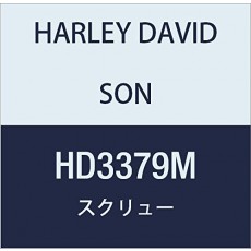 할리 데이비슨 (HARLEY DAVIDSON) SCREW, HFHS, M12 X 1.75 X 100 LONG HD3379M