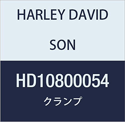 할리 데이비슨 (HARLEY DAVIDSON) CLAMP, P HD10800054