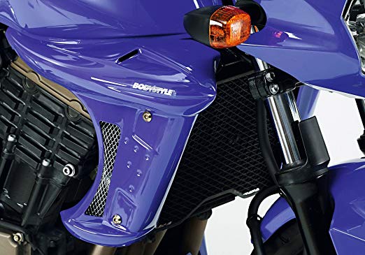 BODYSTYLE 라디에이터 사이드 커버 KAWASAKI Z750 2004-2006 블랙 | 6530394 | 4251233311357 6530394