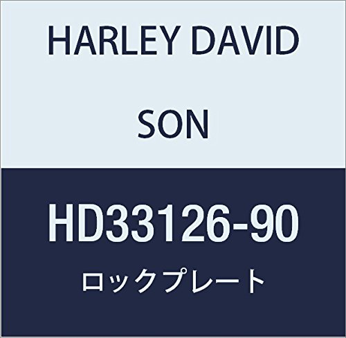할리 데이비슨 (HARLEY DAVIDSON) LOCKPLATE HD33126-90