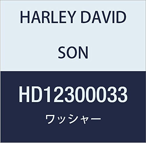 할리 데이비슨 (HARLEY DAVIDSON) WASHER, BANJO HD12300033