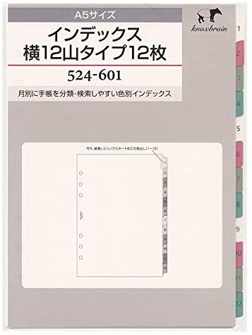 녹스 시스템 수첩 리필 인덱스 가로 12 산 유형 12 장 A5 2 권 팩 52460100